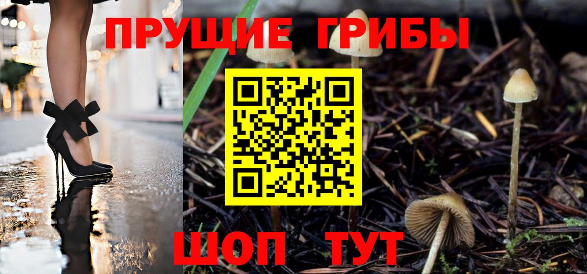 Псилоцибиновые грибы ЛСД Жуковский