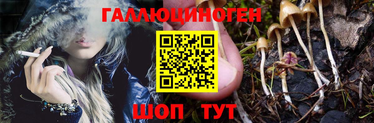 Жуковский  Галлюциногенные грибы Cubensis  Вход с VPN 